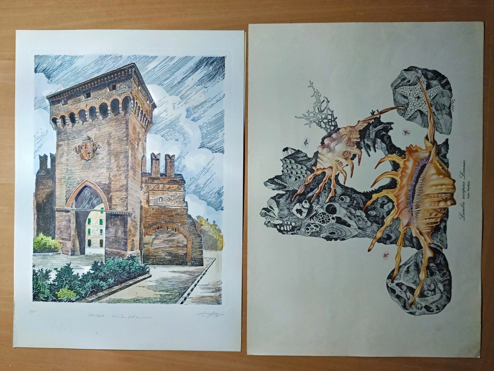 Foto 2 di 5