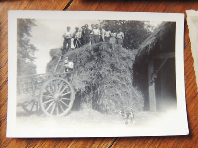 Lot d'anciennes photographies originales scenes de vendanges - Collection