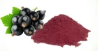 200g Organic Blackcurrant Powder