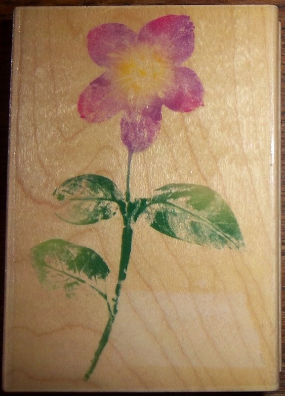 JAMAICAN FORGET ME NOT Rubber Stamp Hero Arts UNUSED 3" x 4"