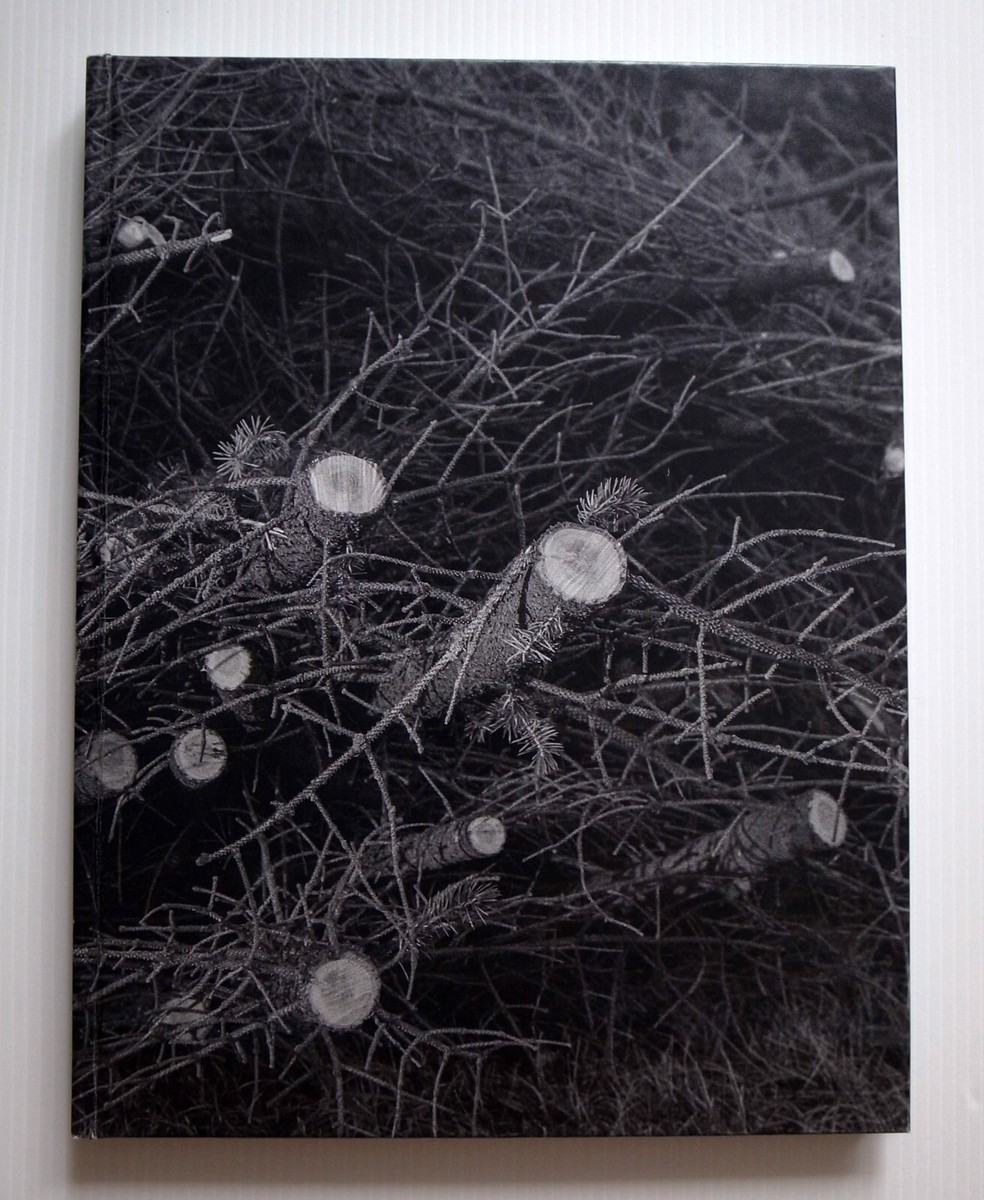 アート・デザイン・音楽 Daniel Reuter History Of The Visit Daniel Reuter: History Of The Visit Hardcover 2014 photo