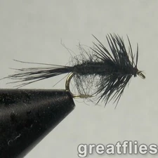 1 dozen (12) - Black Midge