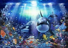 Ceramic Backsplash Tile Mural Dolphin Whale Kitchen/Bathroom/Shower - Orca Reef
