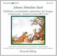 Rilling Helmuth - Schaferkantate - Cd - G3Z