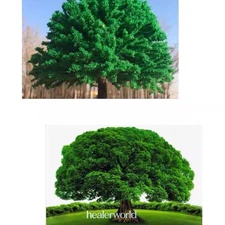 HO/OO Scale Miniature Landscape Trees Summer Plants Model Railroads Scenery