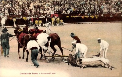 Ak Corrida de Toros, Arrastre del toro - 4820026