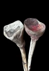 Pair of Cassowary Bone Lime & Betel Nut Sticks East Sepik Papua New Guinea 1960