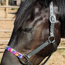 Biothane Halter - Black W/ Rainbow Swirl Noseband