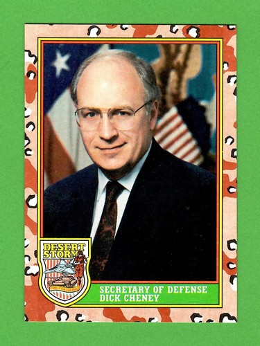 1991 TOPPS DESERT STORM COMPLETE OPEN FACTORY CARD SET 264 + STICKERS 44 MINT! - Picture 5 of 12