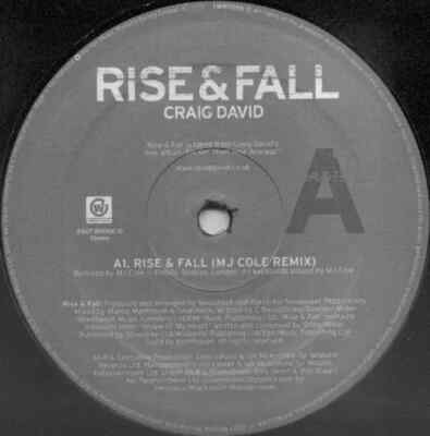 Craig David Rise & Fall Vinyl Single 12inch Wildstar Records
