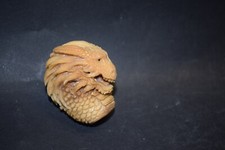 Drachenkopf Japan Taguanuss signiert sehr fein beschnitzt 50mm
