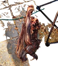 driftwood Mopani ,1 Piece large,  18+ Long