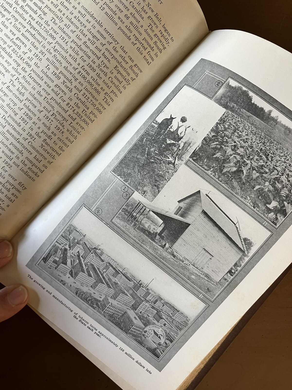 Picture 14 of 16
