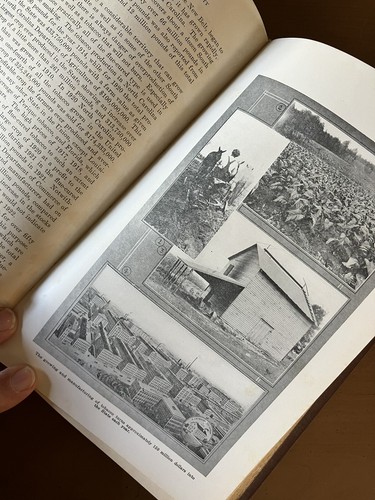 1923 North Carolina The Land of Opportunity, NC Agriculture, Vintage Photos 1st - Picture 14 of 16