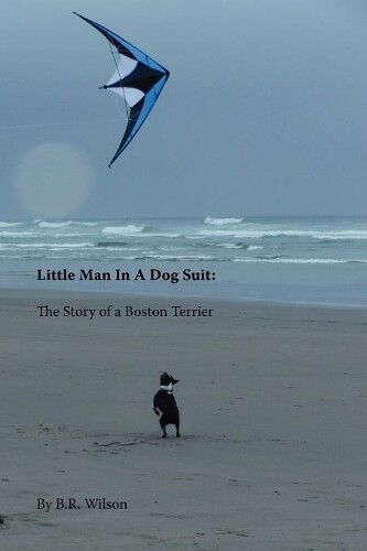 B R Wilson Barry Robert Wilso Little Man In A Dog Sui (taschenbuch)