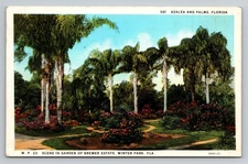 Winter Park Florida Azaleas Blooming Palm Trees FL c1930 Postcard