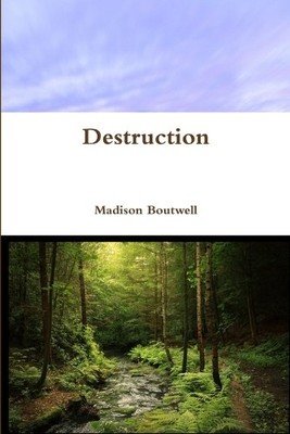 Madison Boutwell Destruction (Taschenbuch)