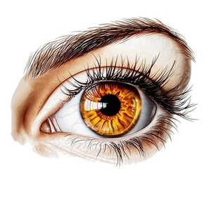 Human Eye Self Adhesive Sticker