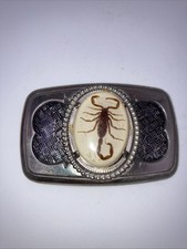 Vintage Real Scorpion Belt Buckle Incased In Resin Cowboy Southwest Collector