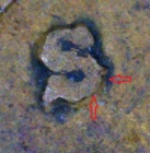 1939 S Lincoln Wheat Cent Penny Error RPM S/S A21