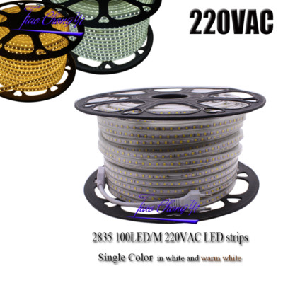  220V LED strip 2835 100led/M waterproof with Power Adapter Flexible LED Tape