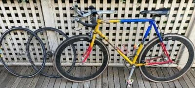 triathlon bike gumtree