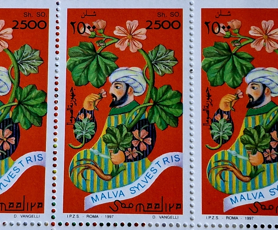 Somalia 1997 MNH Nature Plants 80 Stamps Full Sheets 20 Sets Mi €220.00 - Image 2 of 4
