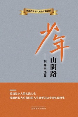 : ????? by Fei Liu (Chinese) Paperback Book