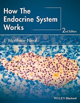 How the Endocrine System Works - GOOD