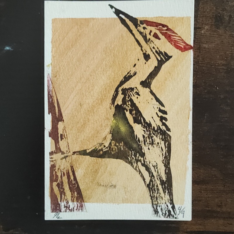 Art Bird Illustration Postcard - Signed Unposted Divided Back Paper Artist Card