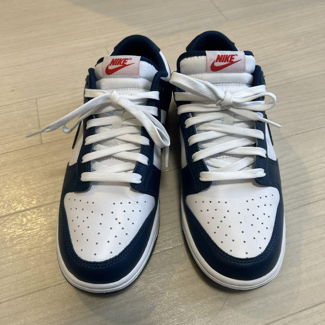 Nike Dunk Low Valerian Blue Men’s 9.0 US – Worn Once