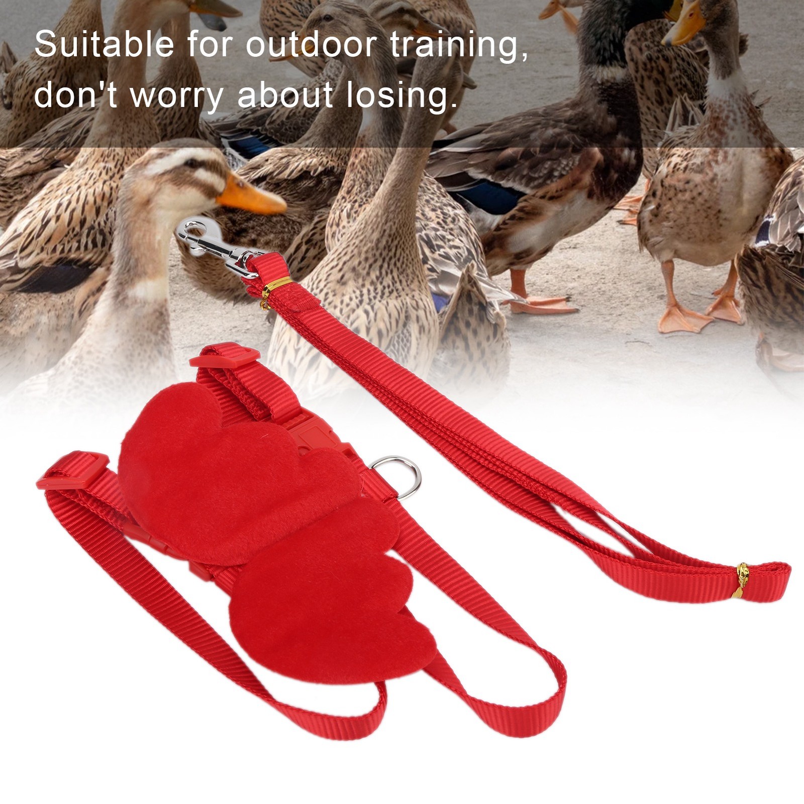 Adjustable Ducks Harness Leash For Outdoor Training Recommended
