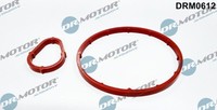 Dr.Motor Automotive DRM0612 Dichtungssatz, Unterdruckpumpe FüR CitroËN Ford