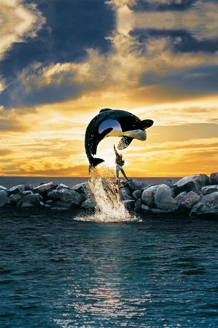 Free Willy Vintage Classic Adventure Movie Wall Art Home Decor - POSTER  20x30 | eBay