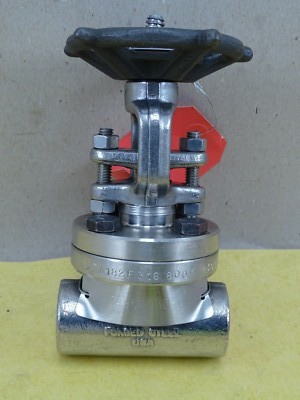 Vogt Outside Stema and Yoke Gate Valve 1/2'' A182F316 800#, 230187