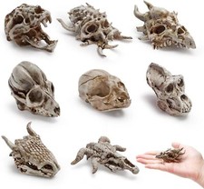 8 Pcs 2.3 Inch Realistic Animal Skulls Figurine Resin Mini Dinosaur Alien...