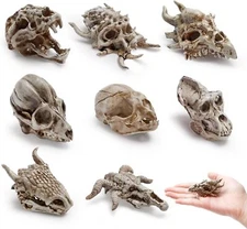 8 Pcs 2.3 Inch Realistic Animal Skulls Figurine Resin Mini Dinosaur Alien... 