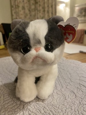 Ty Beanie Babys Yang Katze weiß grau Spielzeug exotisches Kätzchen schottisches gerades Kätzchen