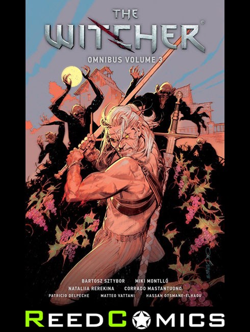 WITCHER OMNIBUS VOLUME 3 GRAPHIC NOVEL (368 Pages) New Paperback by Dark Horse