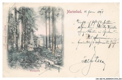 CAR-AEZP5-0211-TSCHECHIEN - MARIENBAD - Waldquelle