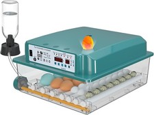 Incubators for Hatching 36 Eggs with Automatic Egg Turning and Humidity