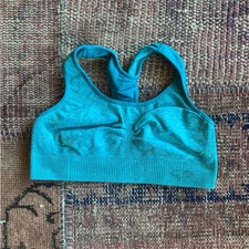 Champion sports bra size small. blue. 