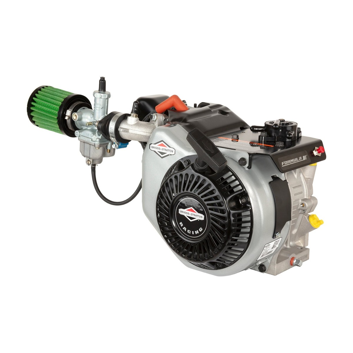 Briggs and Stratton 124335-8106W World Formula 11.5 HP 204cc