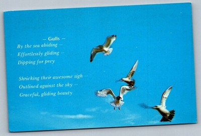 Postcard 1960s Gulls Flying Ocean Poem Birds