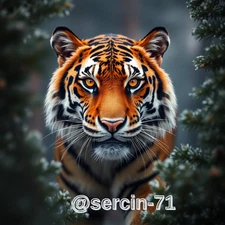 Digital Image Picture Photo Wallpaper Background Desktop AI Art Sample Product