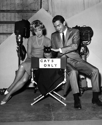 Hayley Mills Dean Jones 8x10 giclee photo That Darn Cat