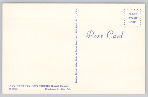 You Think You Have Trouble Basset Hound Dog Long Ears Dog Chrome Postcard - Picture 2 of 2