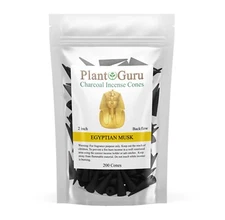 200 Jumbo Charcoal Incense Cones 2" BACKFLOW Bulk Waterfall Burner Holder Censer