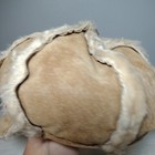 Bild 4 von 11