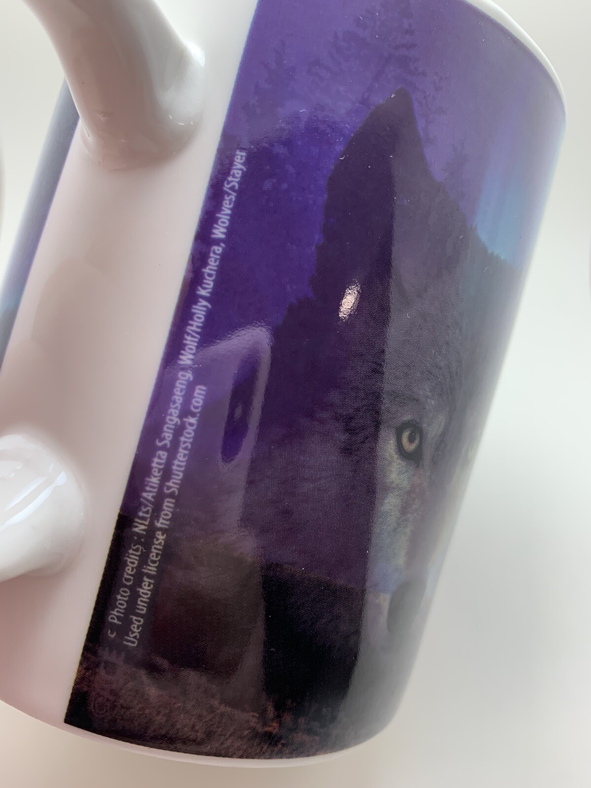 Artic Circle Enterprises Alaska Coffee Mug Wolf Wolves Northern Lights Pre-Owned